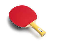 butterfly-specialist-raquette-offensive-contr-le-et-spin image 3