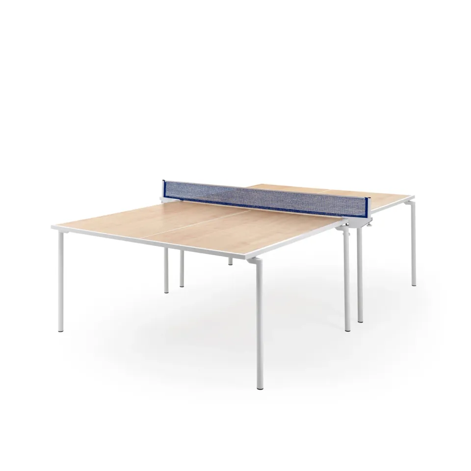 fas-pendezza-spider-table-de-tennis-de-table-int-rieure-274-x-152-5-cm image 1